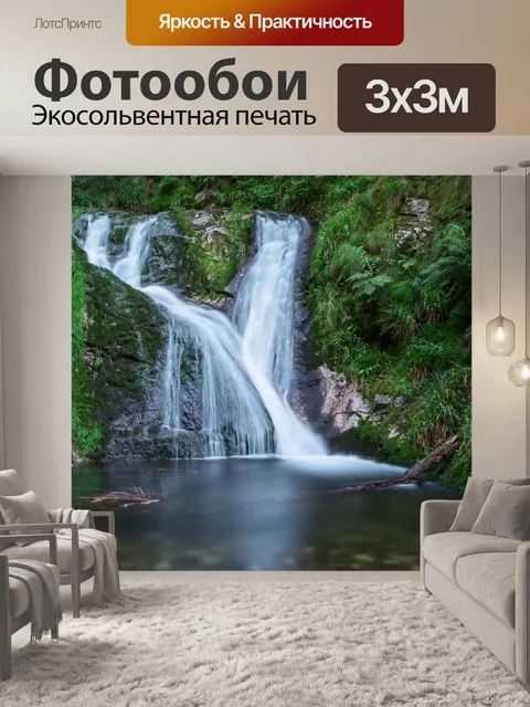 Фотообои Черный лес