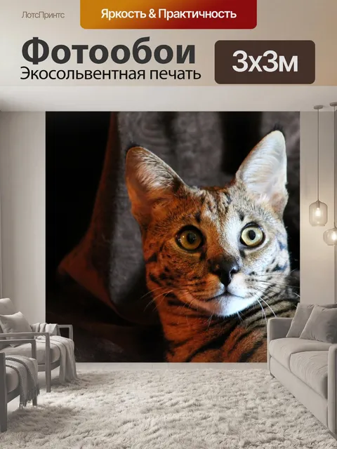Фотообои Сервал