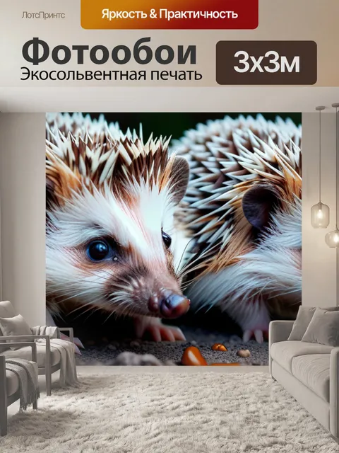 Фотообои с ежиками красивый