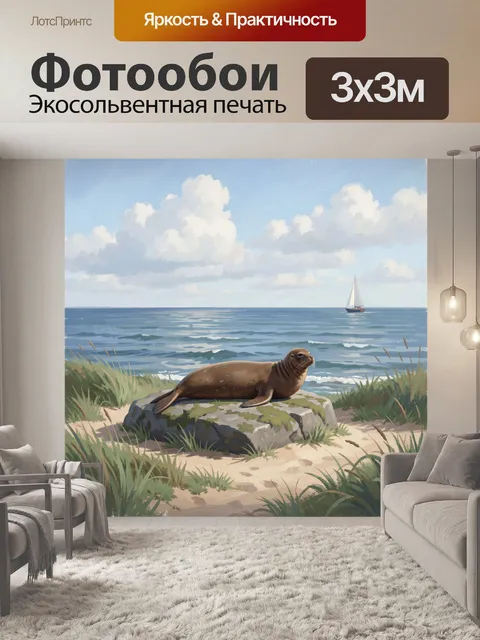Фотообои Тюлень на морском берегу