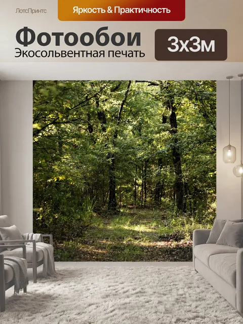 Фотообои Лесная тропа летом