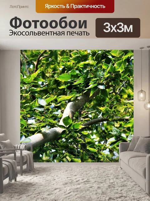 Фотообои толщиной ветвь на дереве