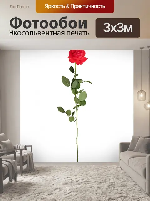 Фотообои Розовые розы, изолированных