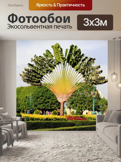 Фотообои Пальма