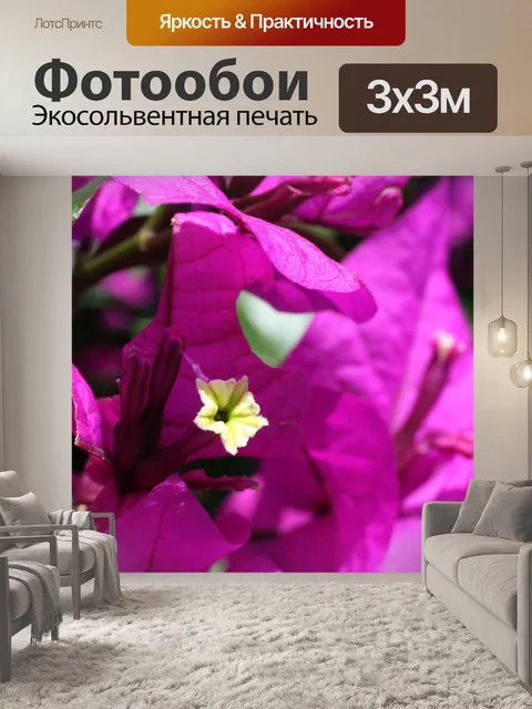 Фотообои Коста-Рика Цветы