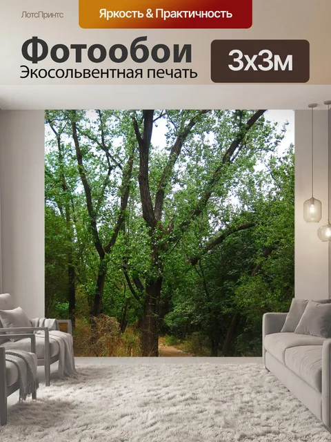 Фотообои ветка зеленого дерева над тропинкой