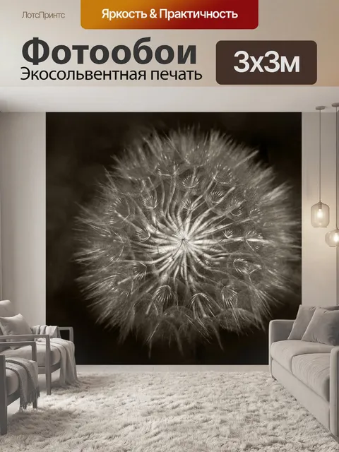 Фотообои Черное и белое