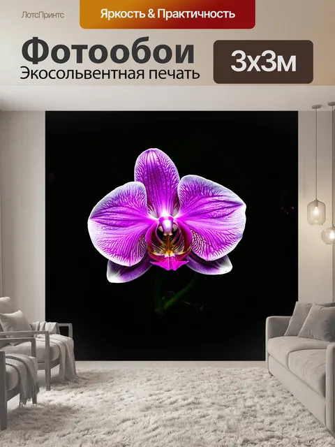Фотообои цветок орхидеи в стиле реализма