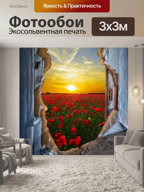 Фотообои Дверь