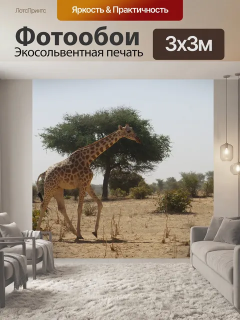 Фотообои Жирафа