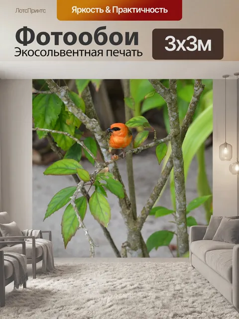 Фотообои Сейшелы