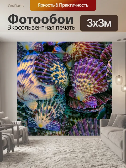 Фотообои Фон морской раковины