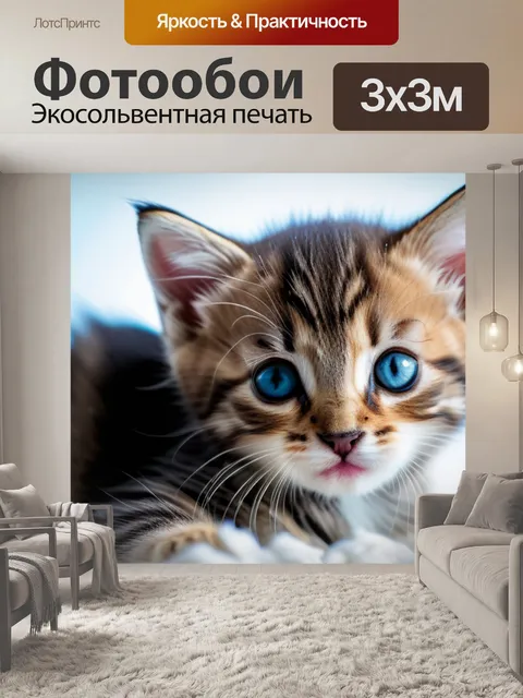 Фотообои с котенком