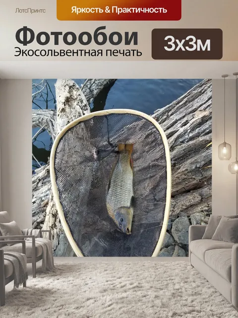 Фотообои Карп в сети
