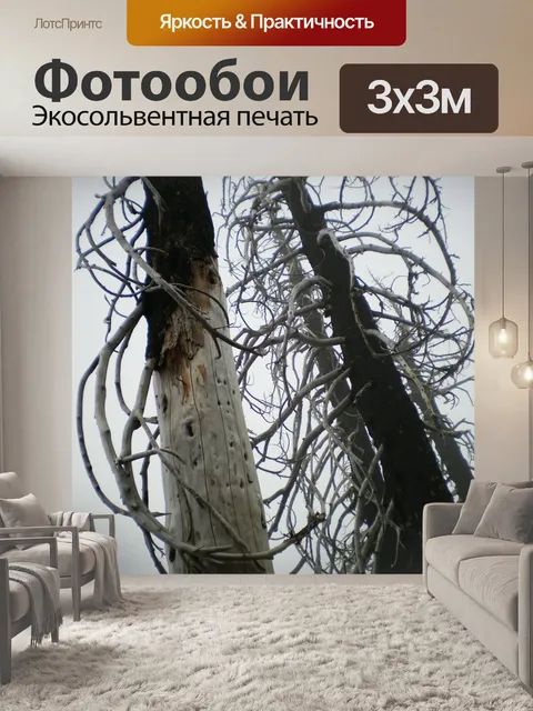 Фотообои Деревья