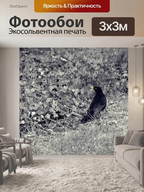 Фотообои Птица