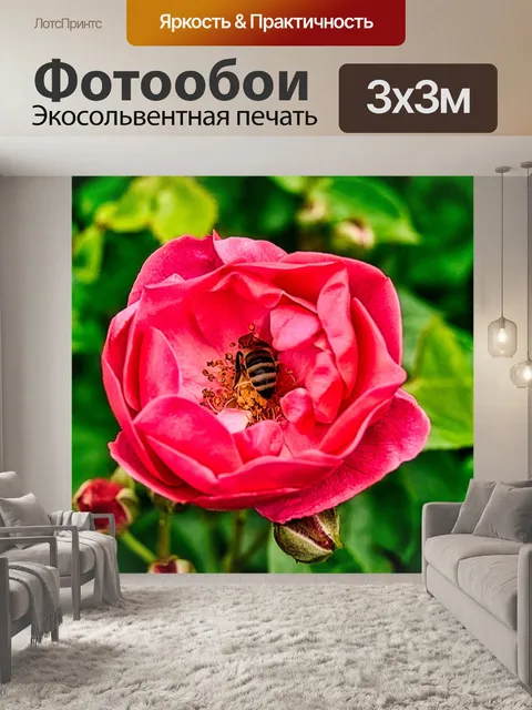 Фотообои Розовый