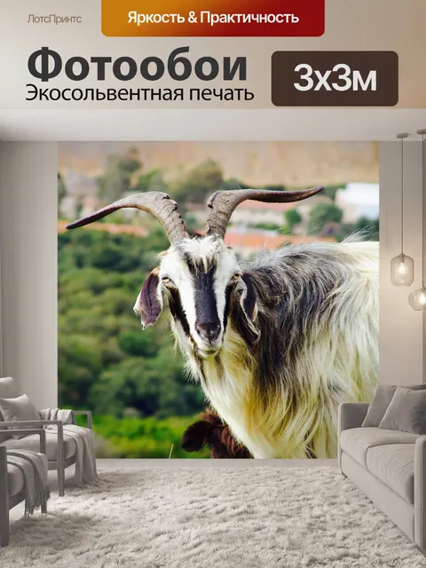 Фотообои Сардиния