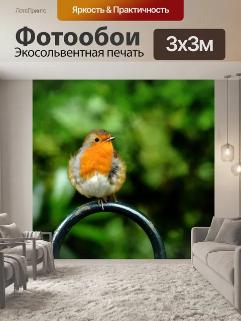 Фотообои Робин