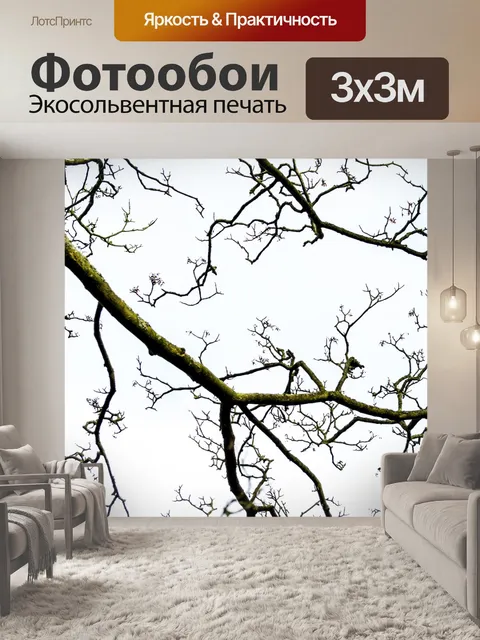 Фотообои дерево без листьев