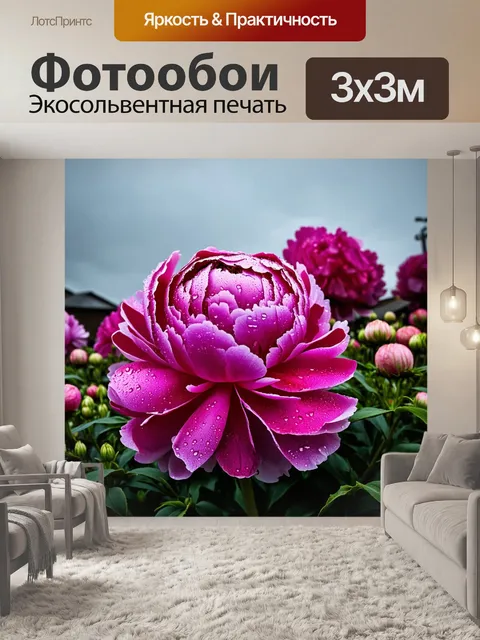 Фотообои пионы с каплями дождя на лепестках, на фоне мрачного неба, создавая атмосферу свежести