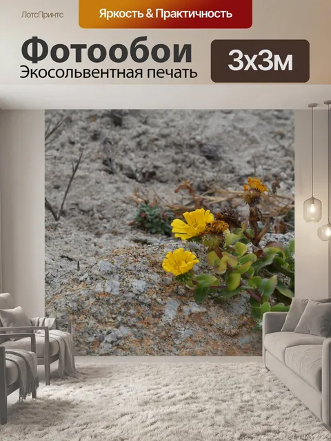 Фотообои Цветущее растение на пляже
