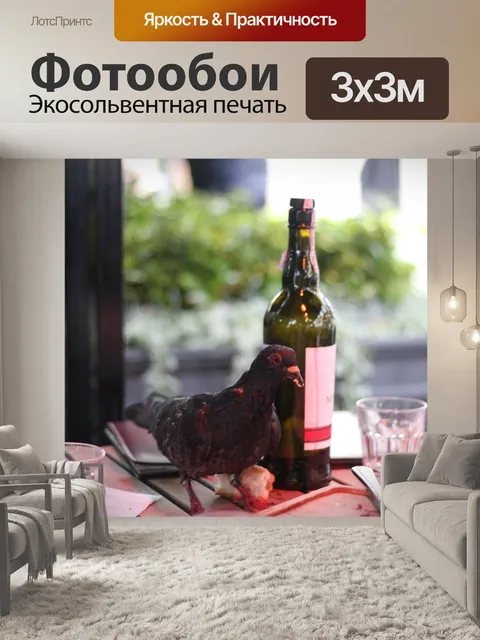 Фотообои Голубь