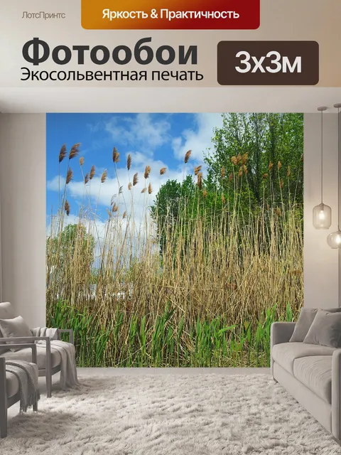 Фотообои Деревья