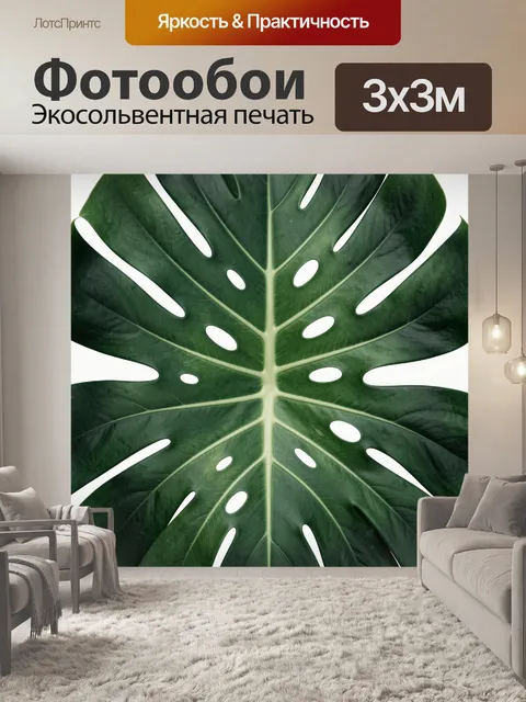 Фотообои Зеленый лист монстеры крупным планом