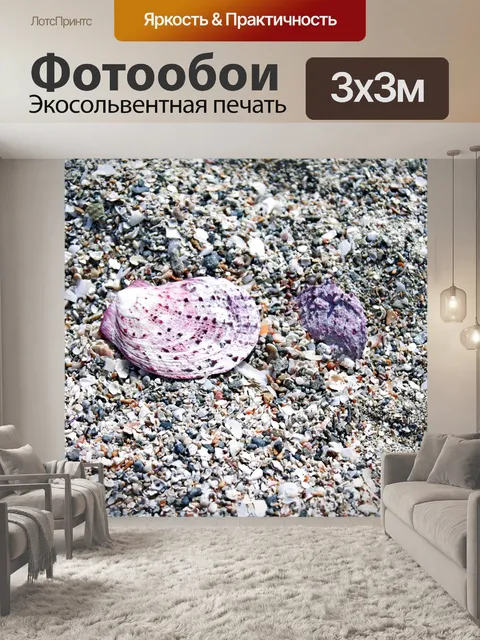 Фотообои Морская ракушка