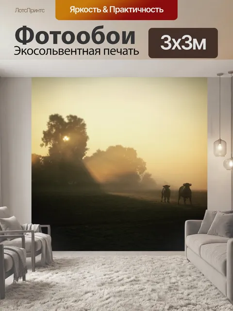 Фотообои Восходящее солнце