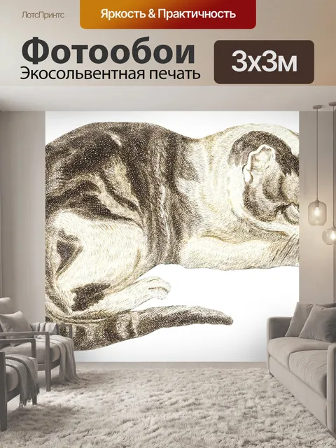 Фотообои Кошка старинная живопись искусство