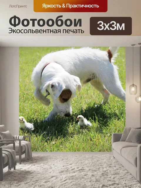 Фотообои Собака