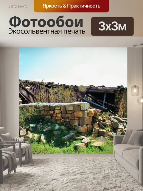 Фотообои сорняки растет среди руин