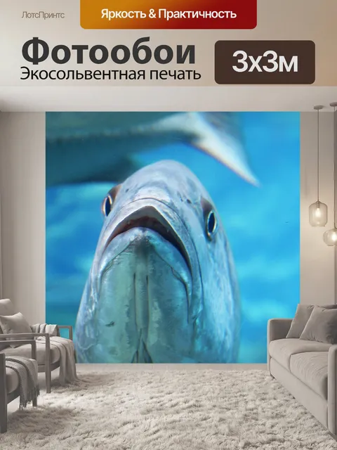 Фотообои рифовые рыбы в аквариуме