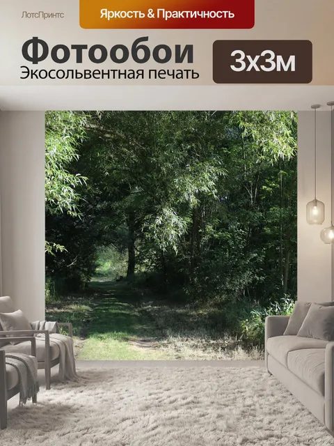 Фотообои Лесная тропа