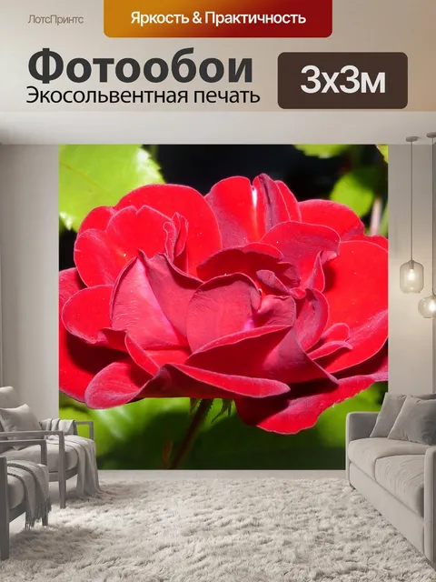 Фотообои Розы