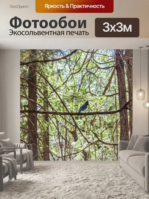 Фотообои Лес