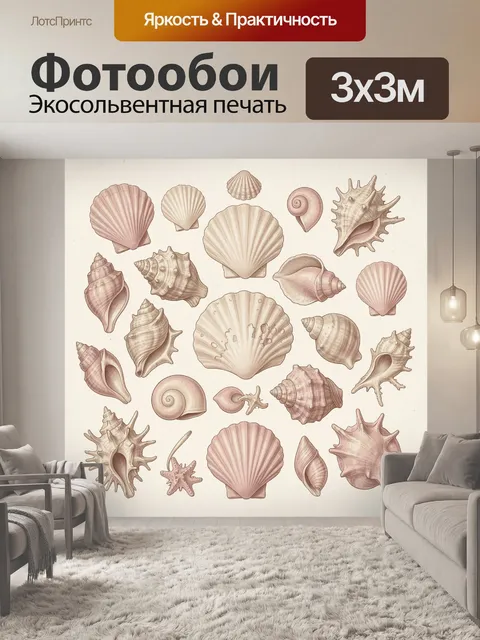 Фотообои Коллекция морских раковин и ракушек