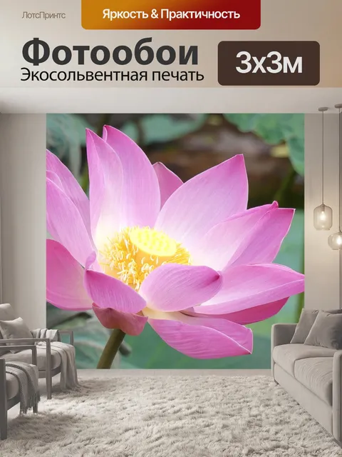 Фотообои Бали