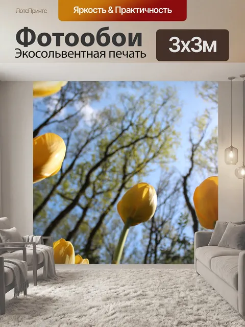 Фотообои Тюльпаны