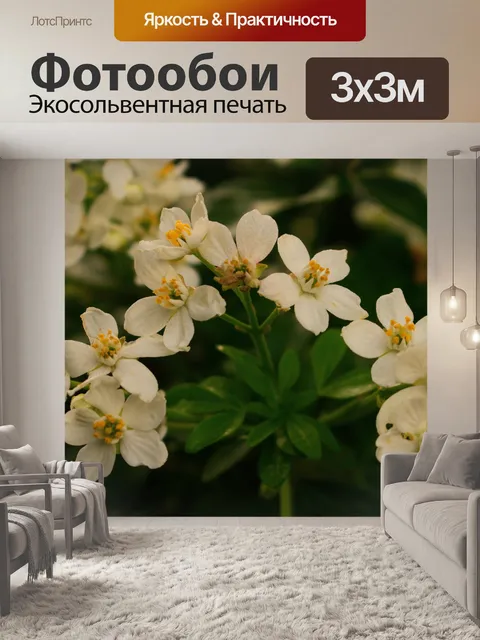 Фотообои Природа