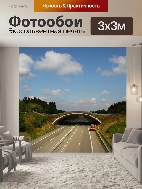 Фотообои А1