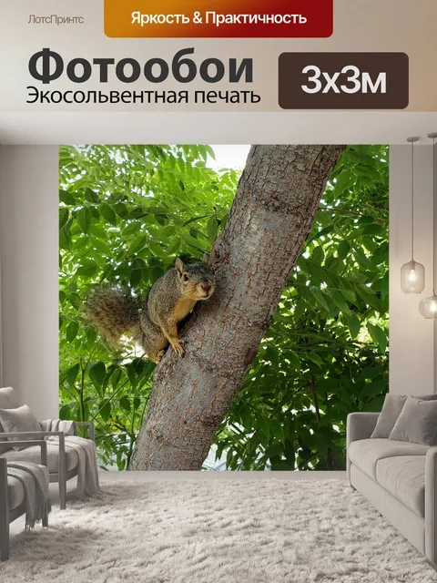 Фотообои Белка лисы в дереве