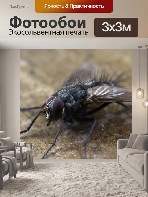 Фотообои Насекомые