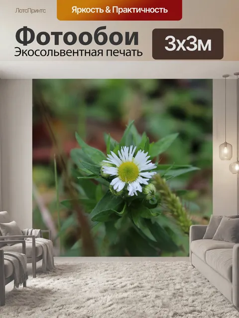 Фотообои Цветы