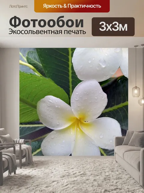 Фотообои Цветы белые пагоды 3