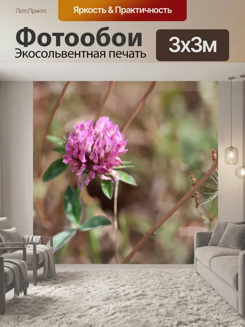 Фотообои Красный клевер