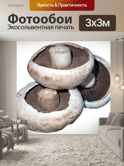 Фотообои Грибы
