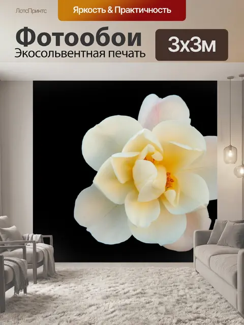 Фотообои Кустовая роза